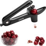 Cheap Cherry Pitter for Fruits: Top Space-Saving and Durable Picks