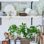 How to Decorate a Kitchen With Plants: Fresh Ideas for a Green Oasis