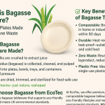 How to Select Biodegradable Plates And Cups: Ultimate Buying Guide