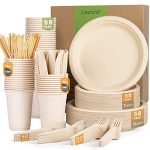 Reliable Compostable Plates And Cups for Eco-Friendly Parties and Events