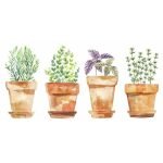 Reliable Kitchen Wall Decals to Transform Your Cooking Space Effortlessly